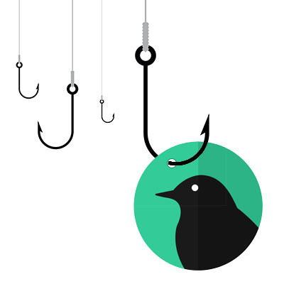 What Happens When a Raven Goes Phishing?